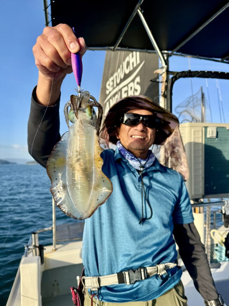 10/7　アオリティップラン