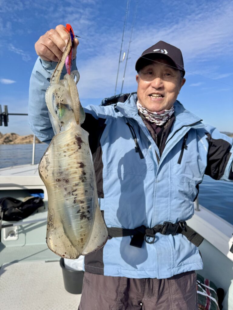 11/11　アオリティップラン