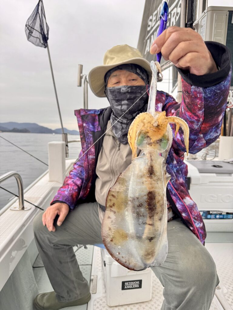 11/13　アオリティップラン