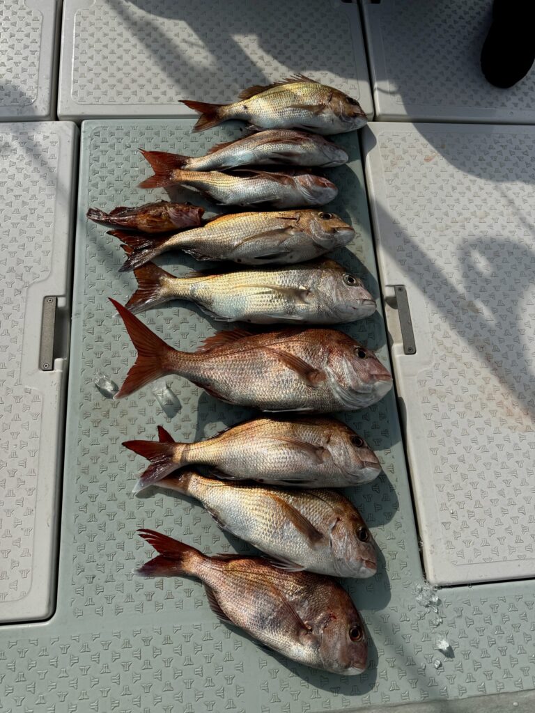 2/20　タイサビキ1日便