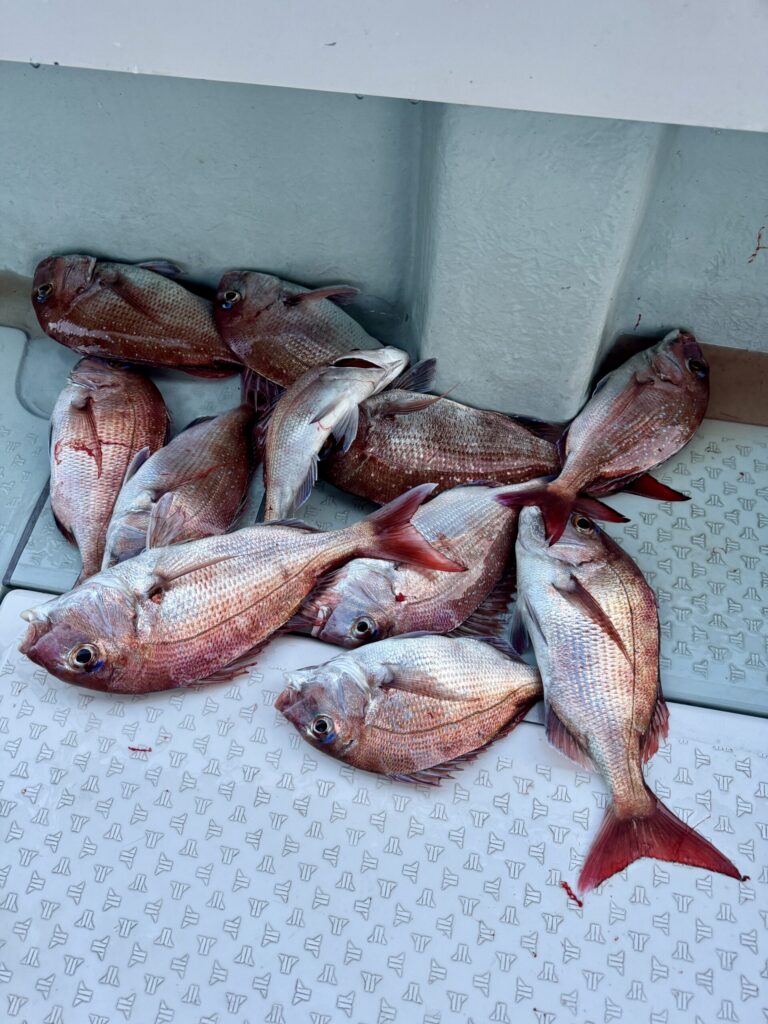 3/12　AMカサゴ　PMタイサビキ