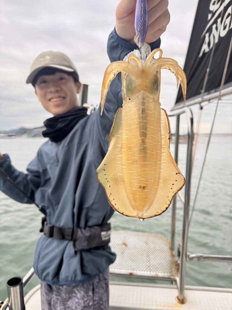 9/12　AMアオリティップラン1日便、夕まずめ便